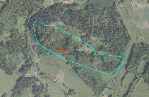 L033 B3047900 Hořensko